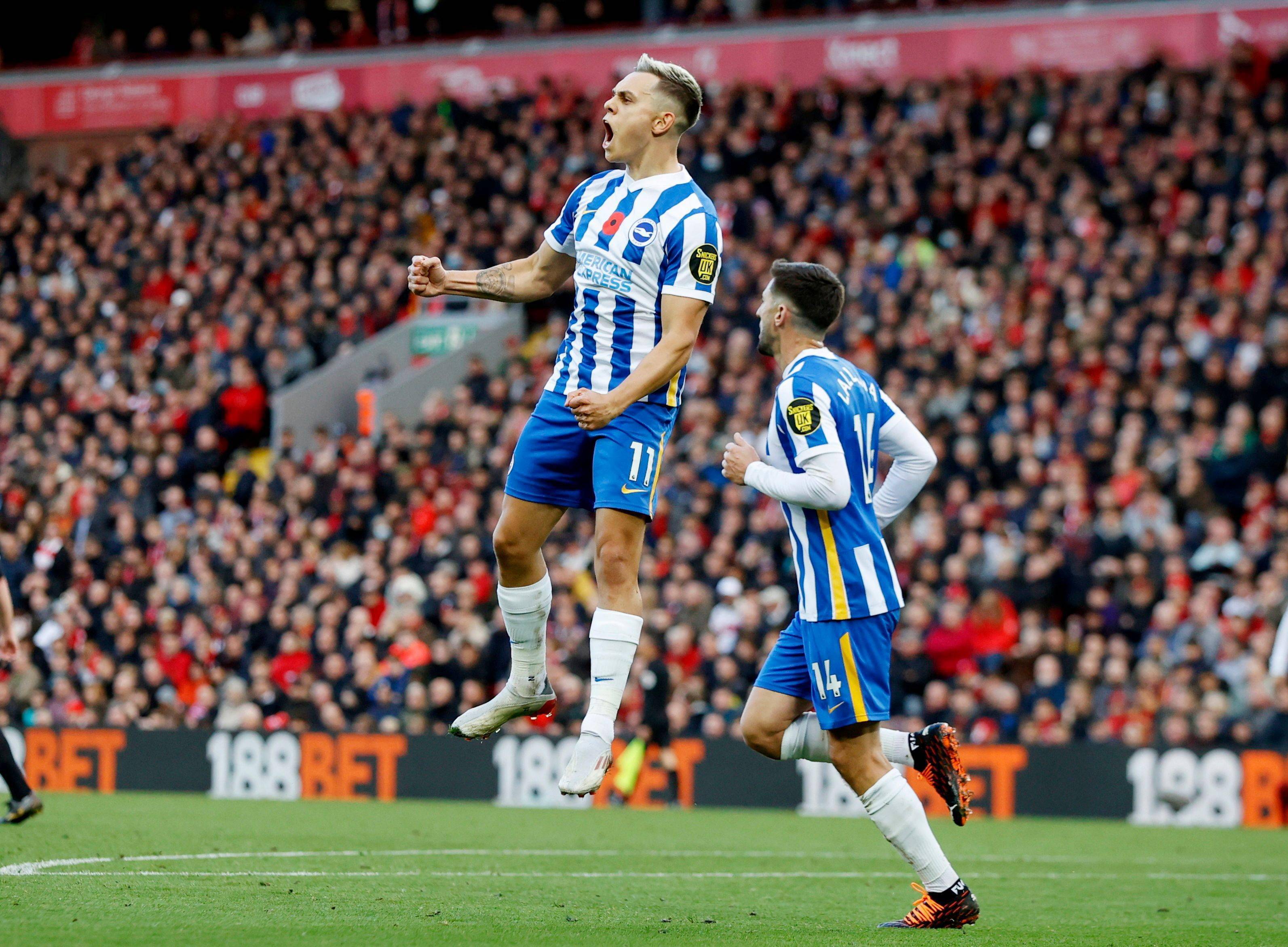 预计将上演 预计将上演